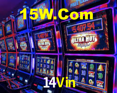 14Vin App Interface